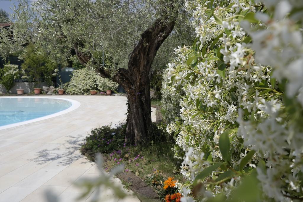 Campeggio Delle Rose Moniga del Garda Exteriör bild